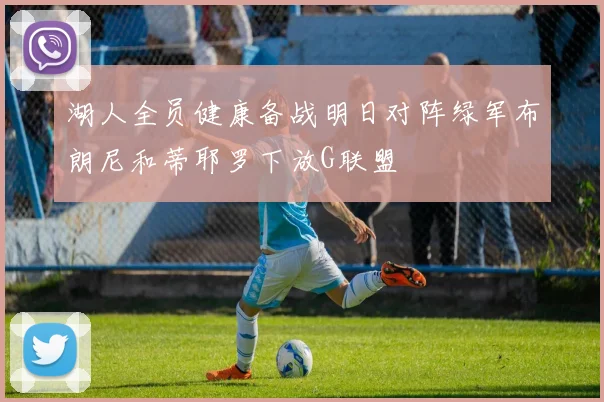 湖人全员健康备战明日对阵绿军布朗尼和蒂耶罗下放G联盟