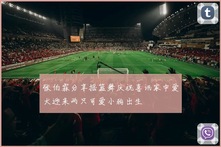 张伯霖分享摇篮舞庆祝喜讯家中爱犬迎来两只可爱小狗出生