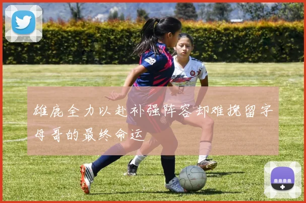 雄鹿全力以赴补强阵容却难挽留字母哥的最终命运